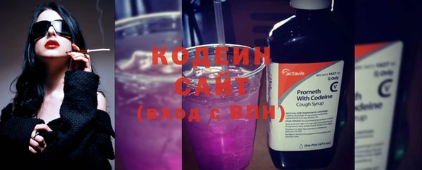 эйфоретик Аркадак