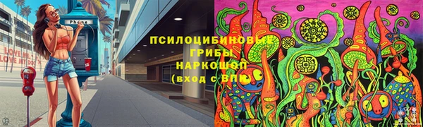 эйфоретик Аркадак