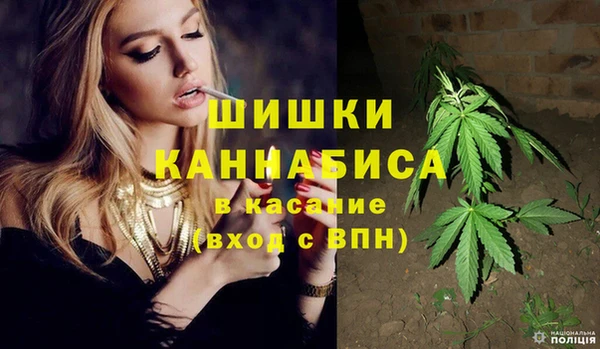 эйфоретик Аркадак