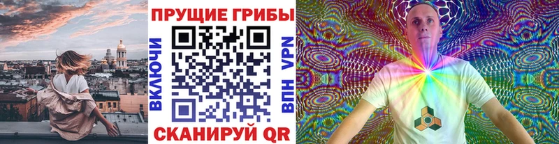 закладки Крым Псилоцибиновые грибы GOLDEN TEACHER